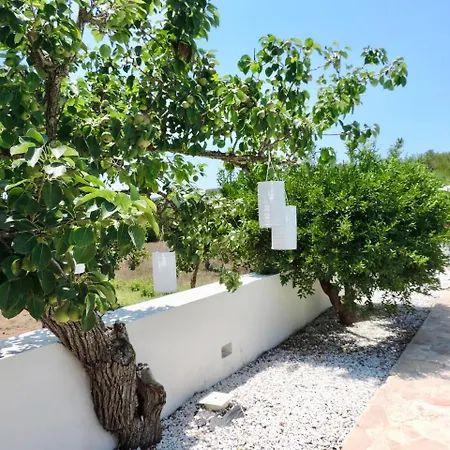 Perella * Santa Eularia des Riu